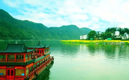 智能高效全自动